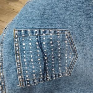 Source Unknown Light Blue Studded Jeans size 22W